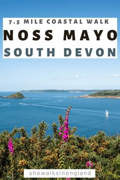 the coast with text overlay that reads, 7 miles coastal walk noss mayo south devon