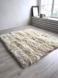 a white area rug on the floor in front of a window with a radiator