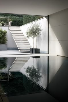 an indoor swimming pool with stairs leading to the upper level and trees in the background