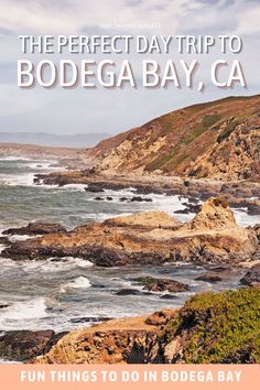 the perfect day trip to bodega bay, ca fun things to do in bodega bay