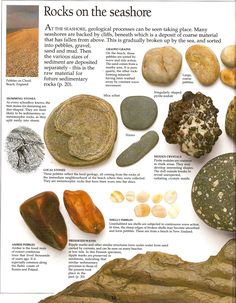 an image of rocks on the seashore with information about them and what they look like