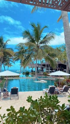 an outdoor swimming pool with lounge chairs and umbrellas next to the ocean in front of palm trees