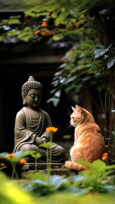 an orange and white cat sitting next to a buddha statue in front of some plants