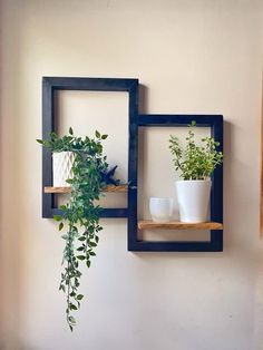 two square wooden shelves with plants and cups in them on the wall next to each other