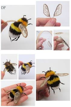 several pictures of different types of bees