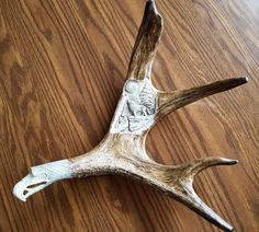 a deer's antler on a wooden table