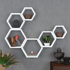 hexagonal shelves are arranged on the wall above a potted houseplant