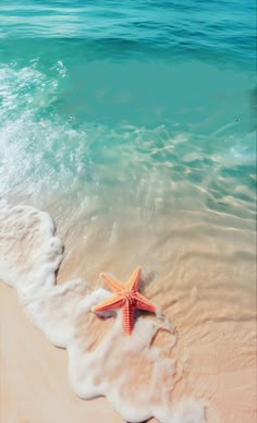 a starfish is laying on the beach next to the ocean waves and blue water