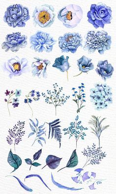 watercolor flowers and leaves are shown in this image, with blue colors on the petals