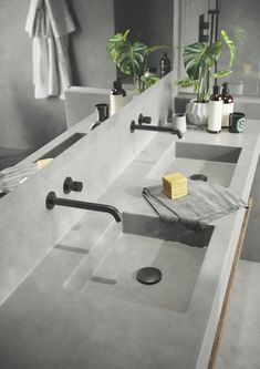 a bathroom with two sinks and plants on the counter