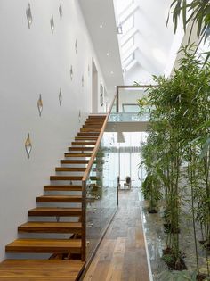 there is a wooden stair case next to the plants in the house and on the wall