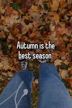 someone is standing in the leaves with their feet up and texting autumn is the best season