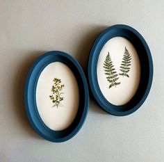 two small blue plates with plants on them