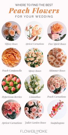 a poster with different types of flowers and words that say where to find the best peach flowers for your wedding