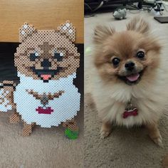 a small dog standing next to a cut out of a teddy bear