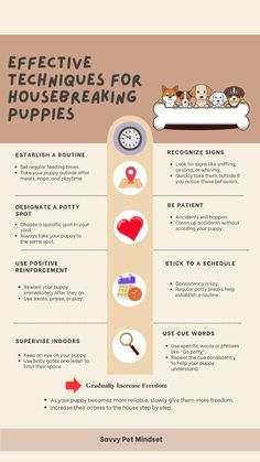 an info sheet describing the different types of dogs and puppies in their houseplants