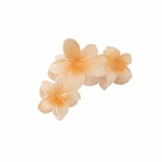 Flower Hair Clips, Flower Claw Clips, Strong Hold Claw Clips for Thick Hair Summer Cute Hibiscus Hair Clips Beach Plumeria Hair Accessories for Women Features: 1. Versatile Hair Accessories: Our 3pcs set of hair claws is for creating various stylish hairstyles. Whether you want to create an elegant updo or a casual half-up hairstyle, these large-sized hair claws will securely hold your hair in place. 2. Trendy European and Design: Inspired by the latest hair accessory trends in Europe and Americ Hawaii Flower Clip, Flower Claw Clips, Hibiscus Hair, Claw Clips For Thick Hair, Hair Clips Flower, Golden Poppy, Clips For Thick Hair, Stylish Hairstyles, Beach Flowers