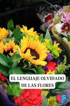 Flores que me regala mi pareja y su mensaje