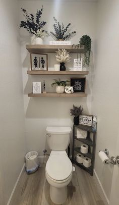 a white toilet sitting inside of a bathroom next to a wooden shelf filled with plants