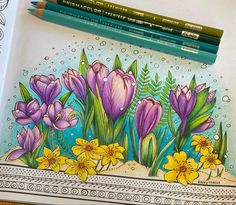 a drawing of flowers and plants in water with colored pencils on the table next to it