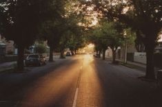 the sun is shining down on an empty street with parked cars and trees lining both sides