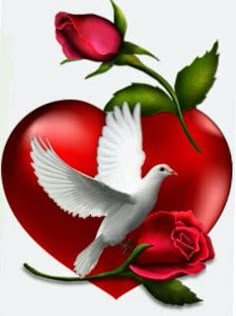 an image of a heart with a dove and rose on it, in the background is a man's face