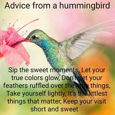 a hummingbird flying with a pink flower in it's beak and the words advice from a hummingbird