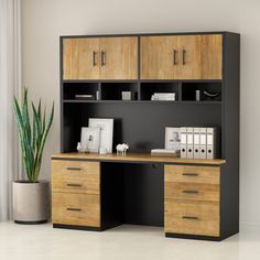 an office desk with two drawers and a bookcase on it, in front of a potted plant