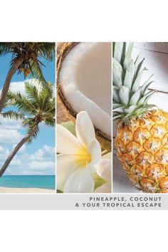 the pineapple, coconuts and tropical escape are featured in this postcard design