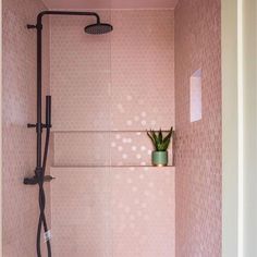 a pink tiled shower with a green plant in the corner next to it and a black faucet