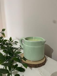 a candle that is sitting on top of a table next to a potted plant