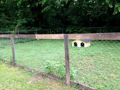 a dog house in the middle of a field behind a fence