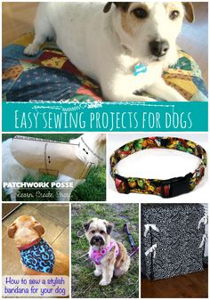 an image of easy sewing projects for dogs