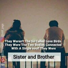 two people sitting on a bench with the caption sister and brother they weren the so called love birds