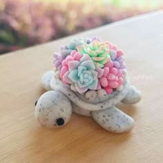 a small turtle with flowers in its shell on top of a wooden table next to an instagram post