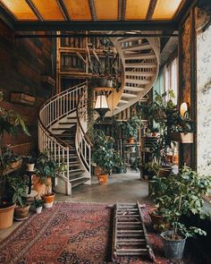 an image of a spiral staircase in a living room with plants on the floor and potted plants next to it