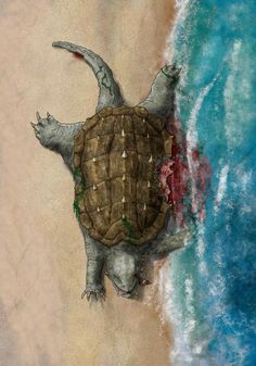 a painting of a turtle on the beach