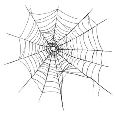 a spider sitting on its web in the middle of it's web stock photo