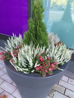 a potted planter with flowers and plants in it