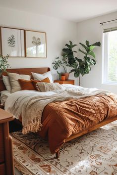 a bedroom with a bed, plant and rug