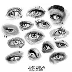 an image of different types of eyes with the words dennis lip berg on it