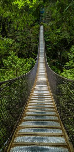 a suspension bridge in the middle of a forest