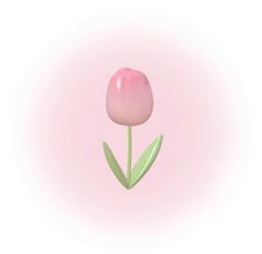 a single pink tulip on a light pink background