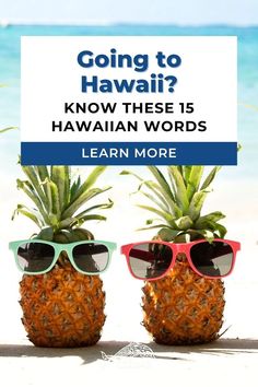 two pineapples wearing sunglasses with the words going to hawaii? know these 13 hawaiian words learn more