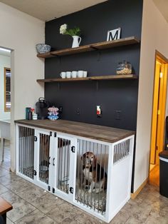 a dog is sitting in his kennel at the end of the kitchen counter and looking out into the living room