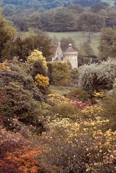 an old house surrounded by trees in the middle of a lush green field with lots of flowers