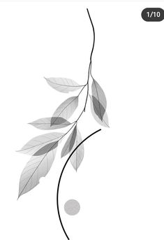 a black and white photo of leaves on a branch with the text, i'm not sure what this image is