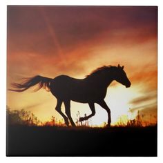 a horse is running in the grass at sunset