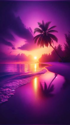 the sun is setting over an ocean with palm trees