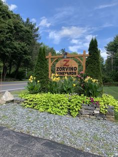 a sign for the zooino vineyards in front of some trees and bushes with yellow flowers